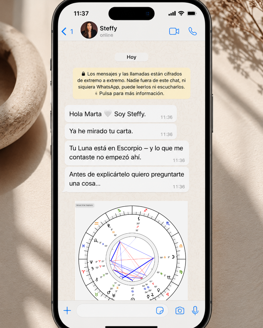 Ejemplo de lectura personalizada por WhatsApp
